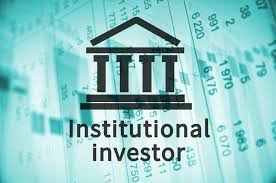 The-Role-of-Institutional-Investors