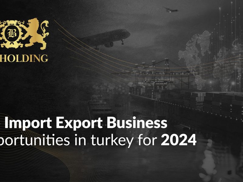 import-export-business-opportunities-in-turkey-2024