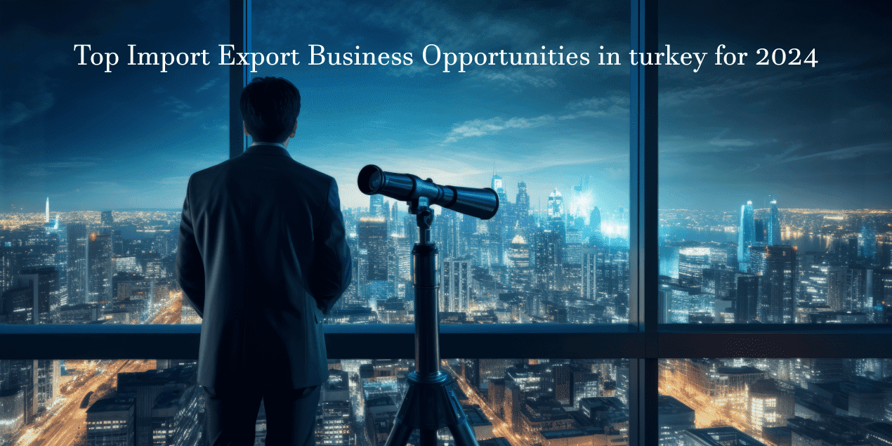 import-export-business-opportunities-in-turkey-2024